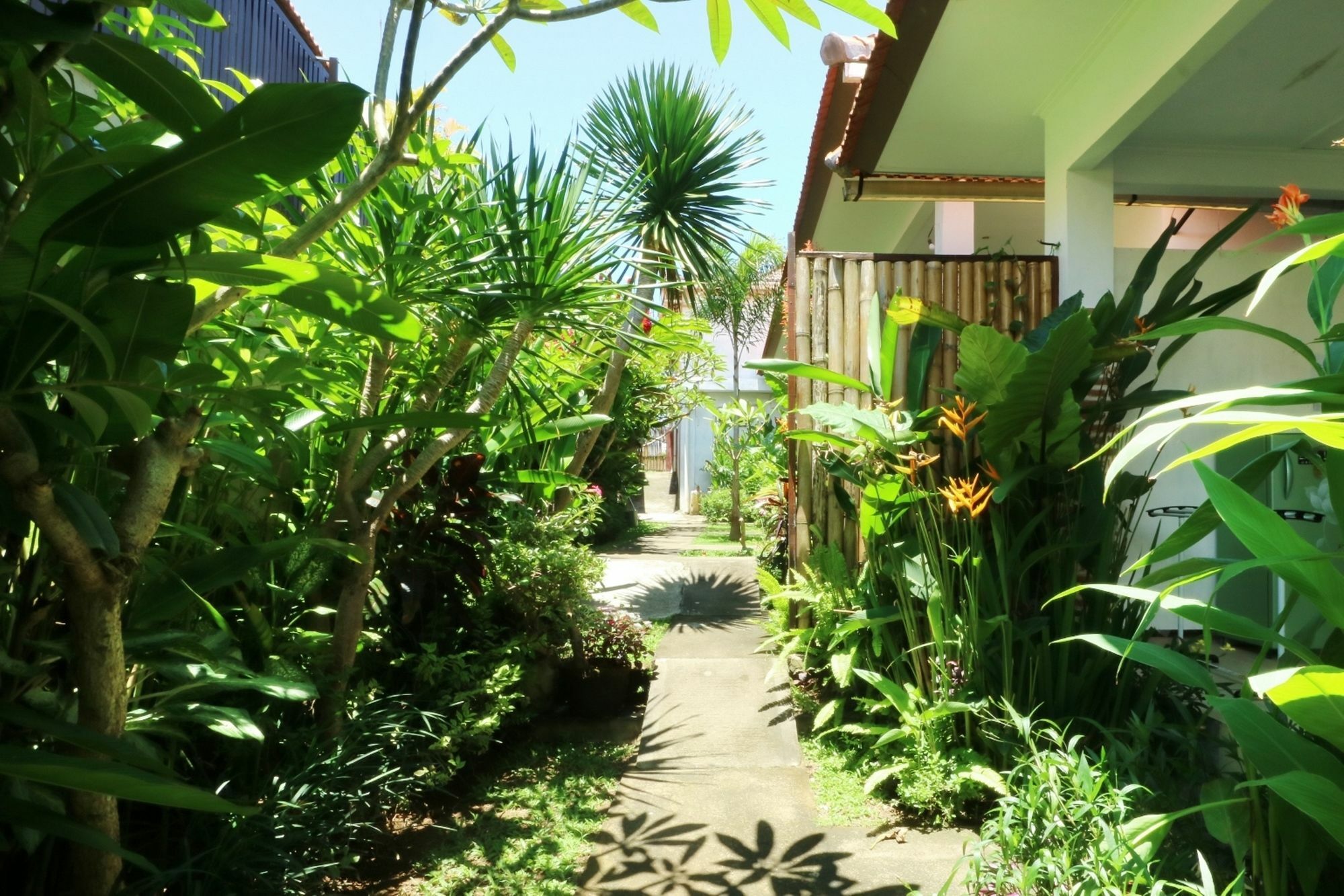 The Wina Guest House 2 Canggu Zewnętrze zdjęcie